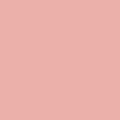 rosa T206vision bordar